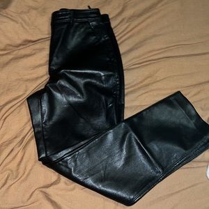 Aritzia Babaton Leather Pants